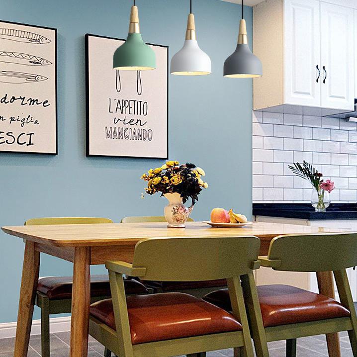 Contemporary Macaron Disc Pendant 1-Light