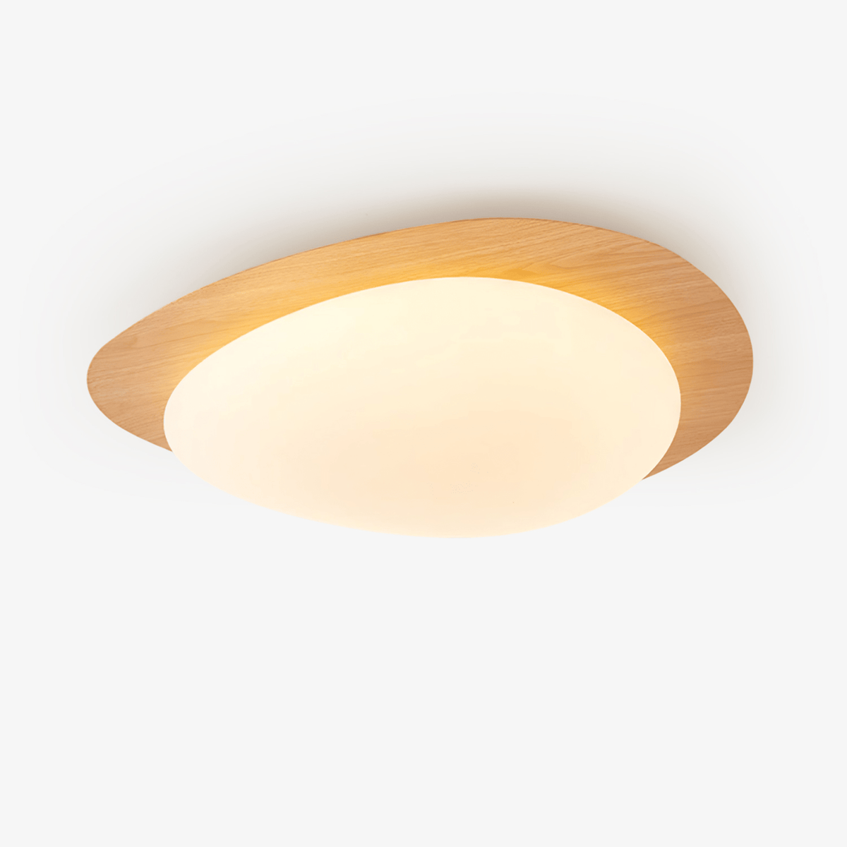 Contemporary Iron Wood-Trim Rim Ceiling Light 1-Light