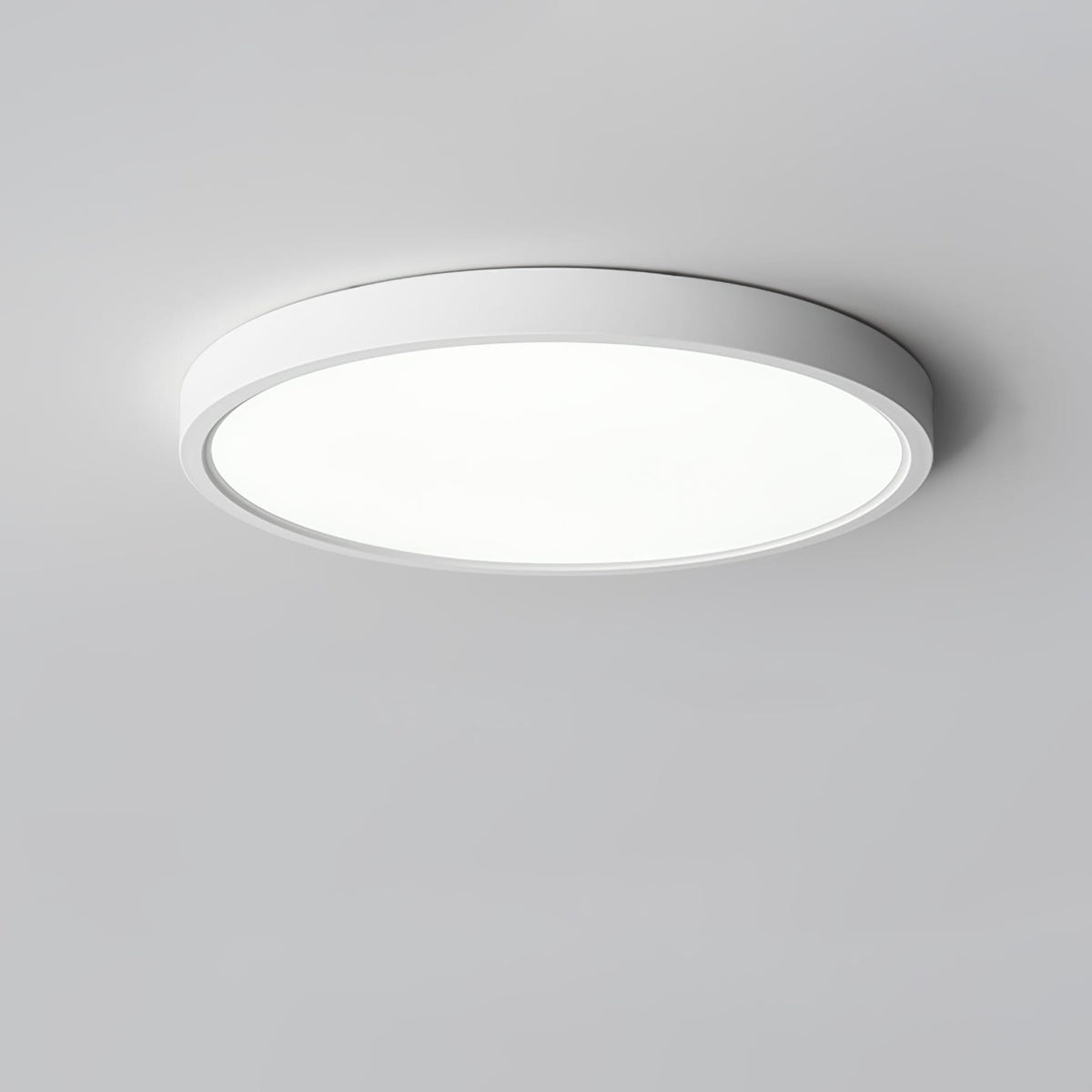 Minimalist Iron Slim Low-Profile Ceiling Light 1-Light