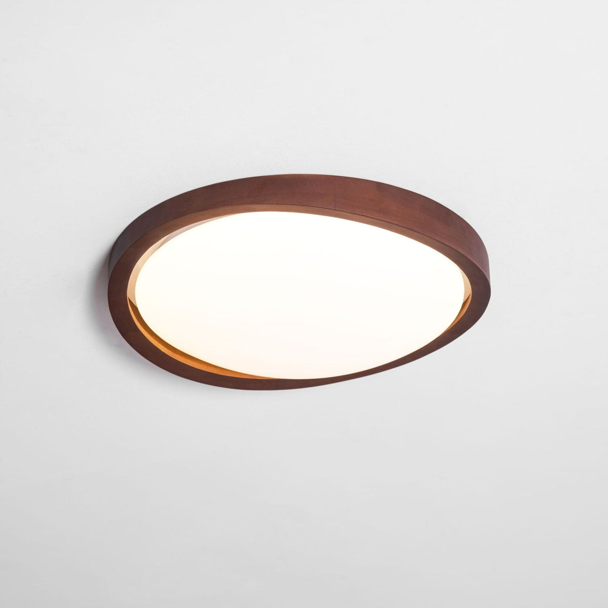 Modern Iron Tri-Colour Ø45 Ceiling Light 1-Light