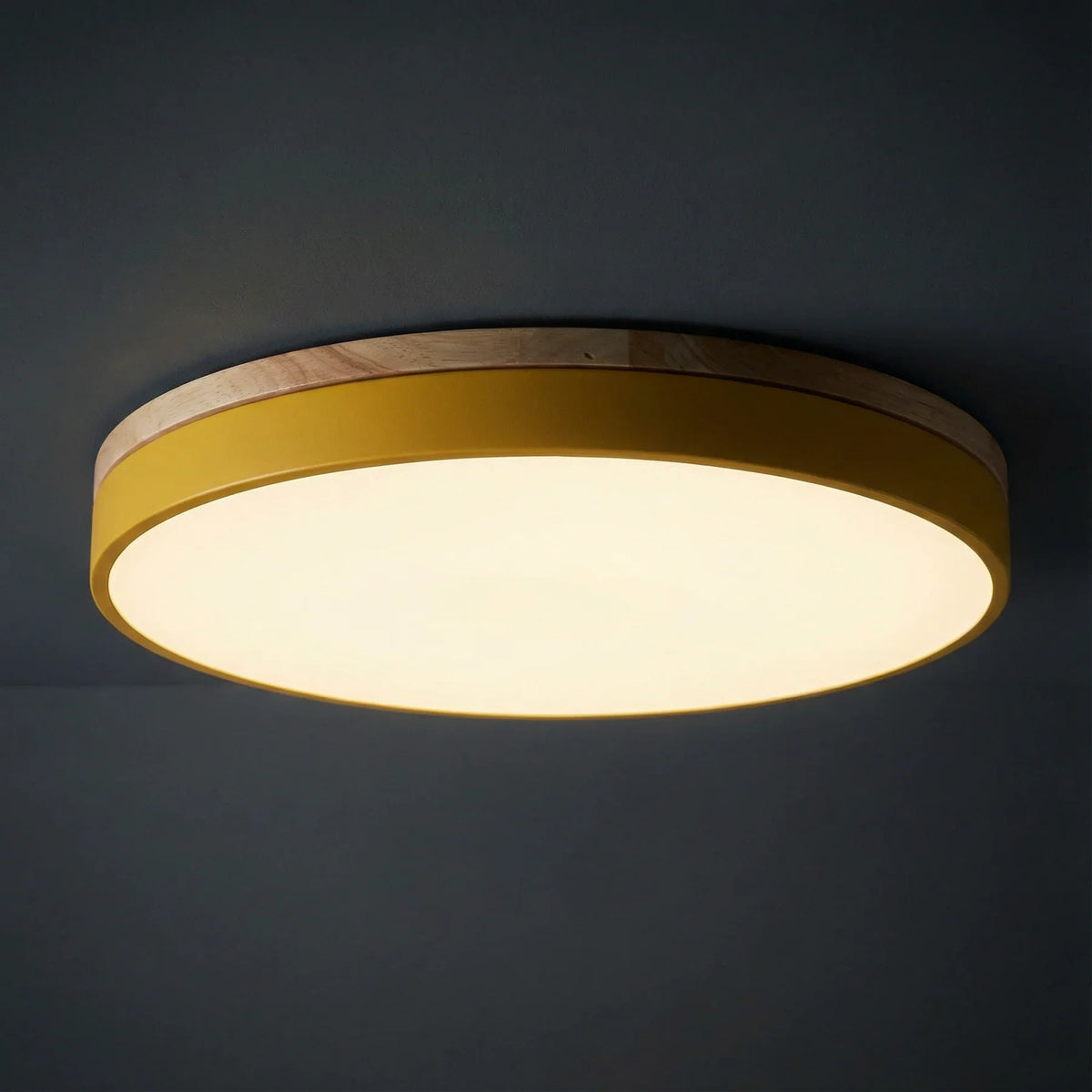 Contemporary Wood Trim Ceiling Light 1-Light