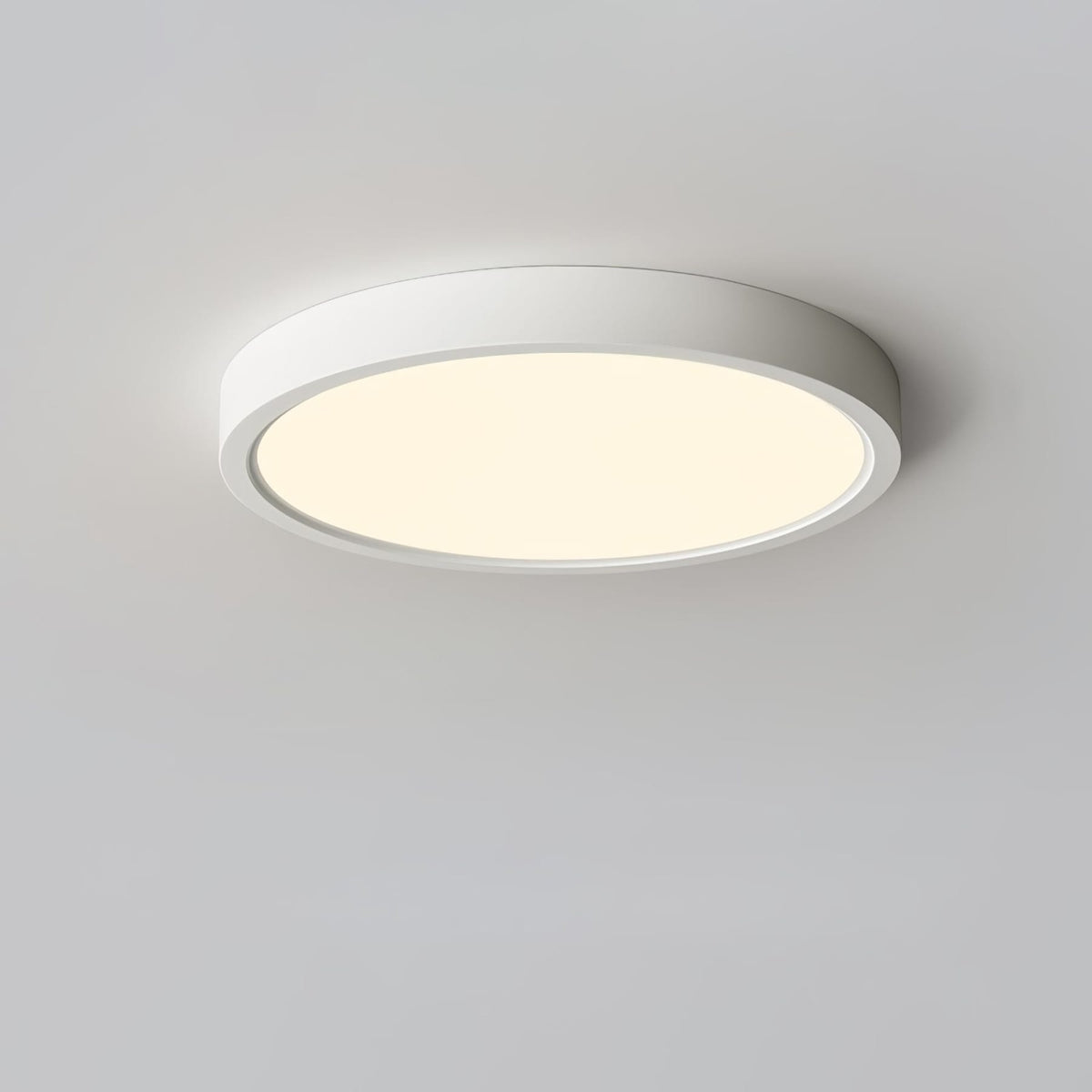 Minimalist Iron Slim Low-Profile Ceiling Light 1-Light
