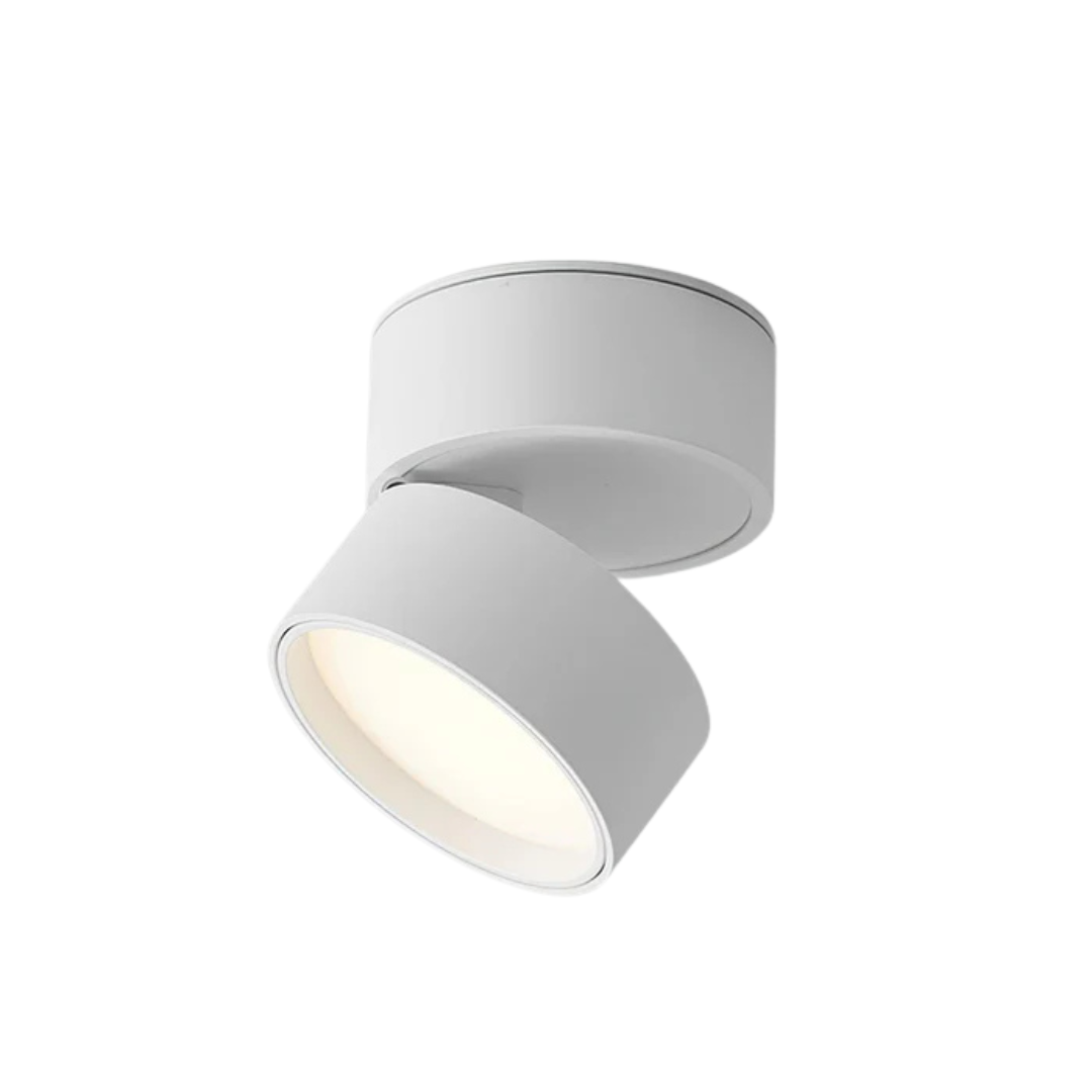 Contemporary Adjustable LED Ceiling Light 1-Light