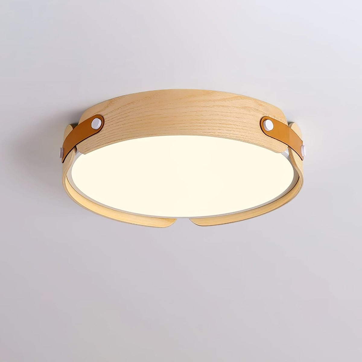 Scandinavian Iron Slim Low-Profile Ceiling Light 1-Light