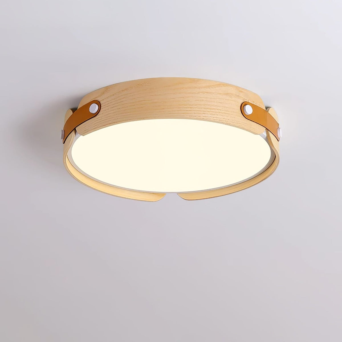 Scandinavian Iron Slim Low-Profile Ceiling Light 1-Light