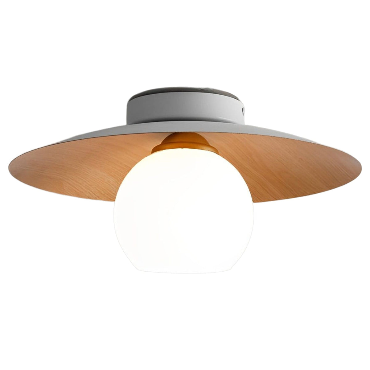 Modern Iron Semi-Flush Ceiling Light 1-Light