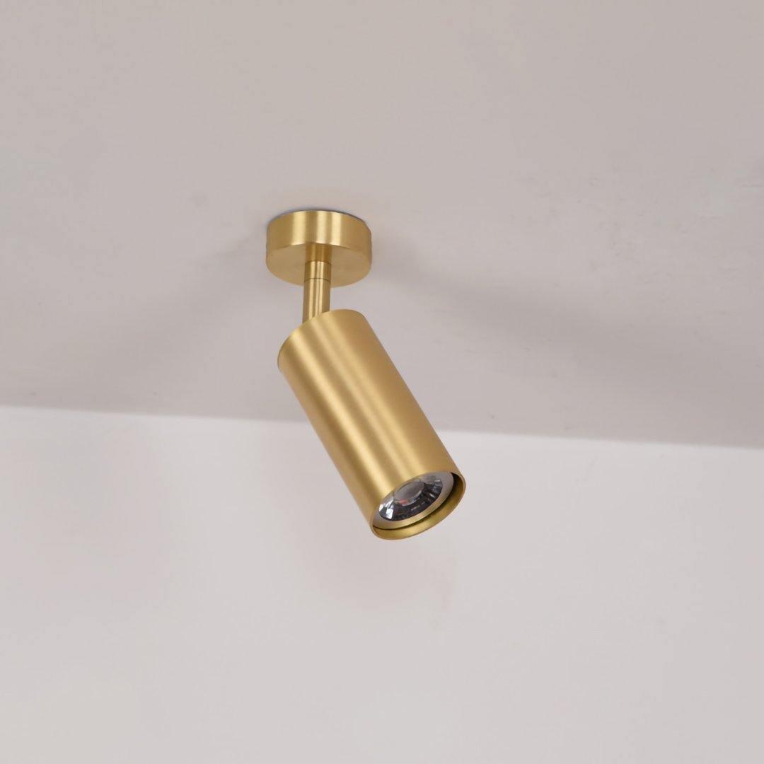 Contemporary Brass Double Cylinder Adjustable Wall Spotlight
