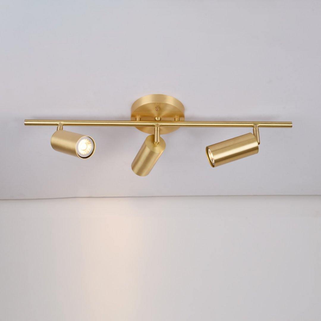 Contemporary Brass Double Cylinder Adjustable Wall Spotlight