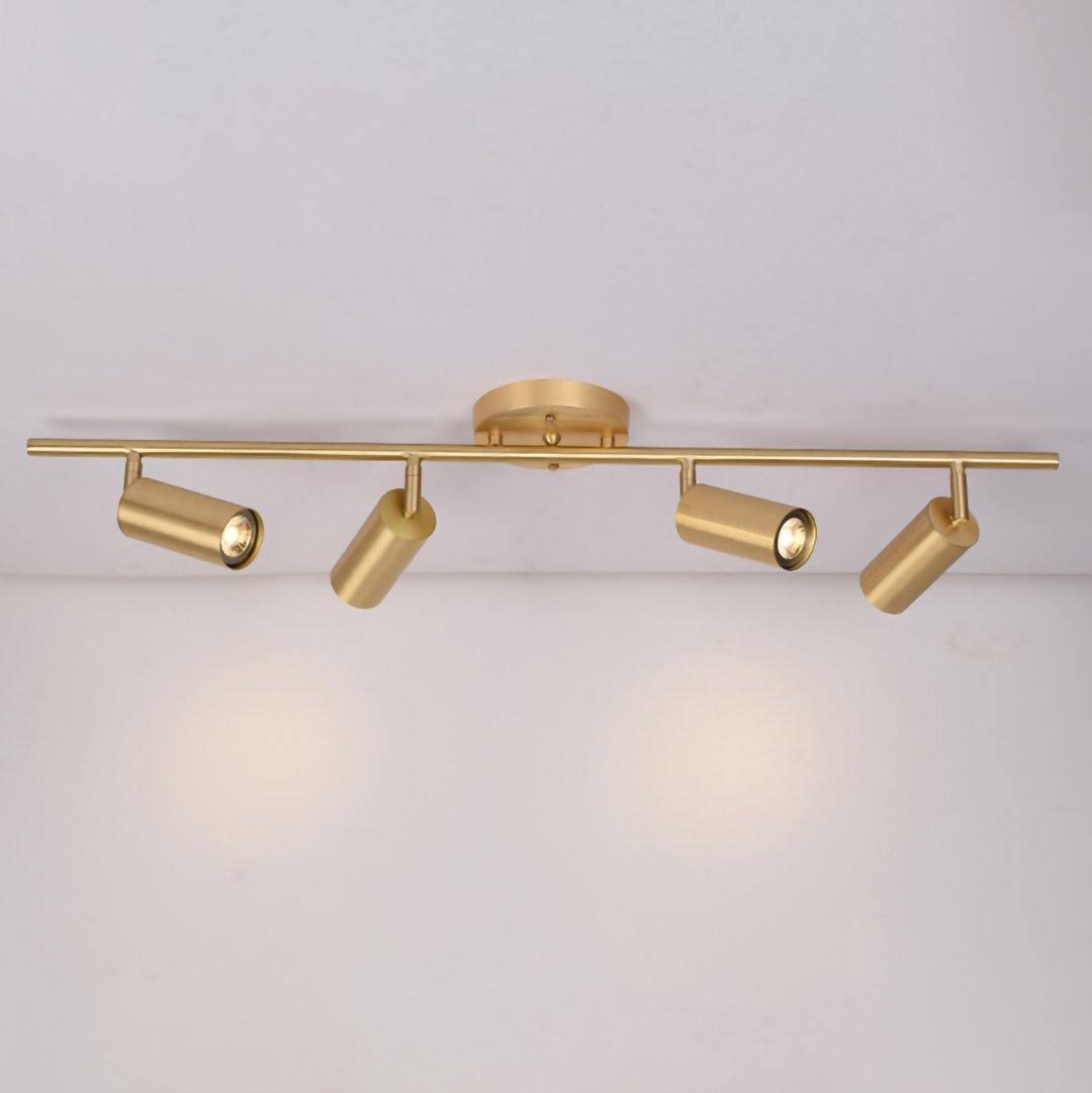 Contemporary Brass Double Cylinder Adjustable Wall Spotlight