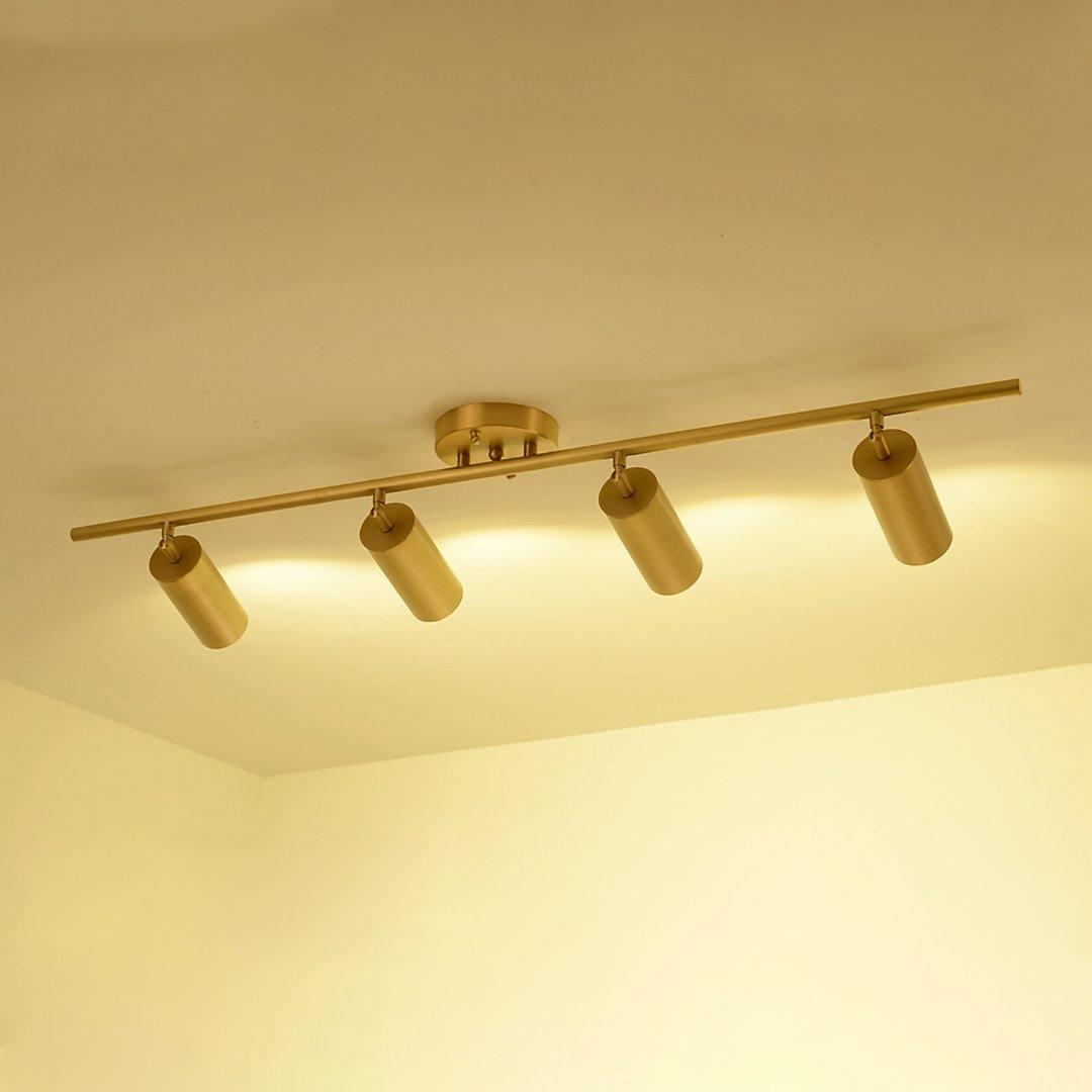 Contemporary Brass Double Cylinder Adjustable Wall Spotlight