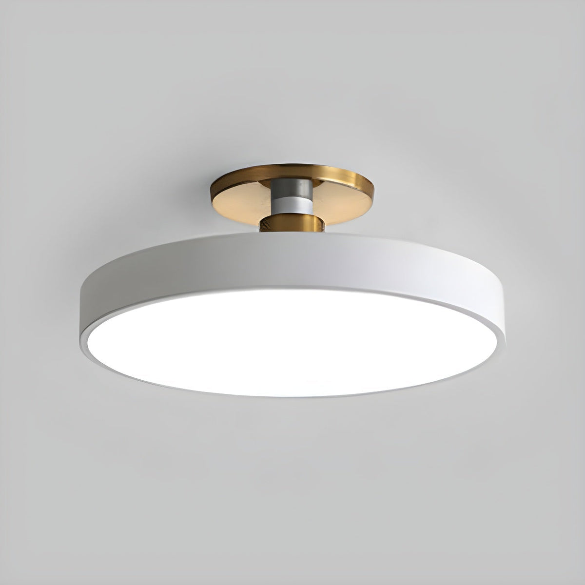 Contemporary Round LED Flush Mount Ceiling Light 1-Light