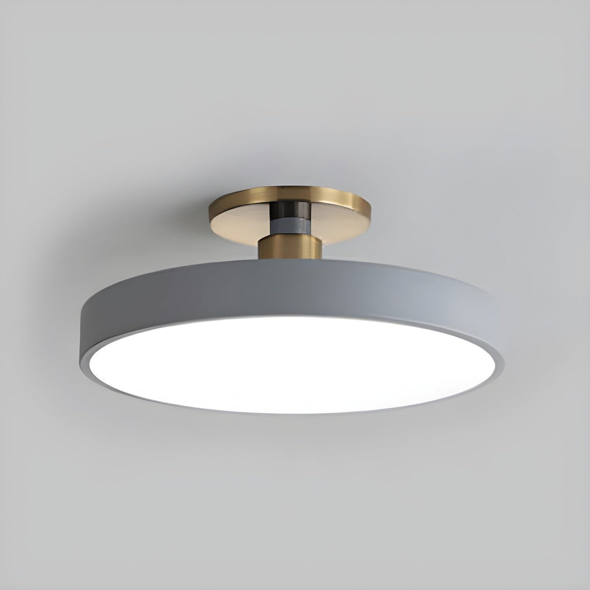 Contemporary Round LED Flush Mount Ceiling Light 1-Light