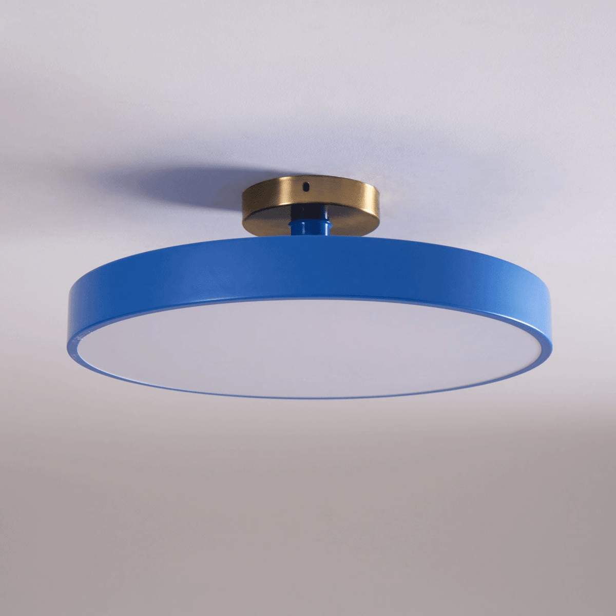 Contemporary Round LED Flush Mount Ceiling Light 1-Light