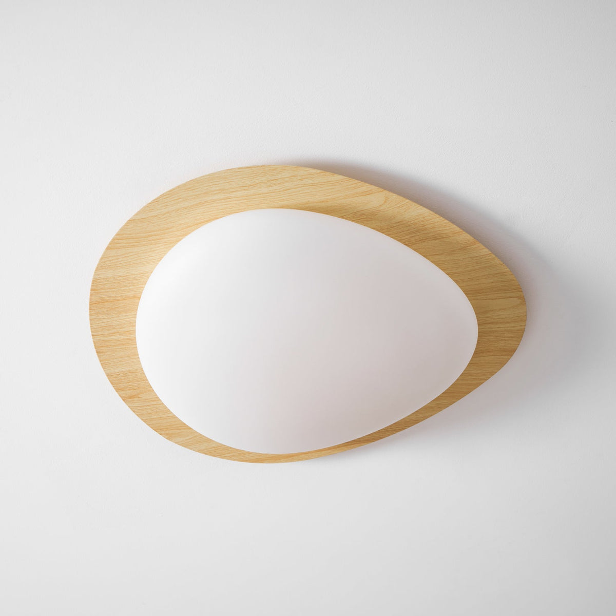 Contemporary Iron Wood-Trim Rim Ceiling Light 1-Light