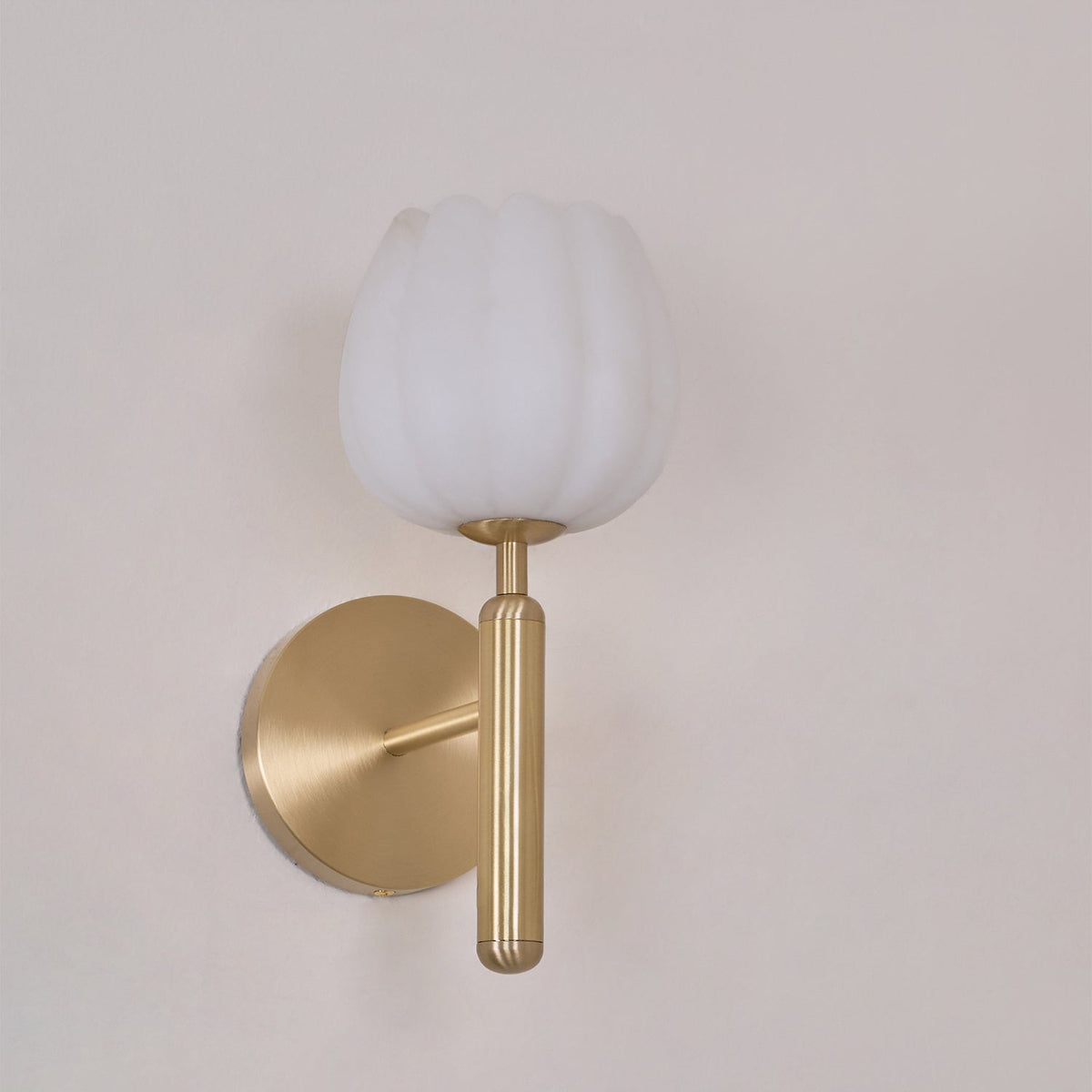 Contemporary Glass Round Backplate Wall Light 1-Light