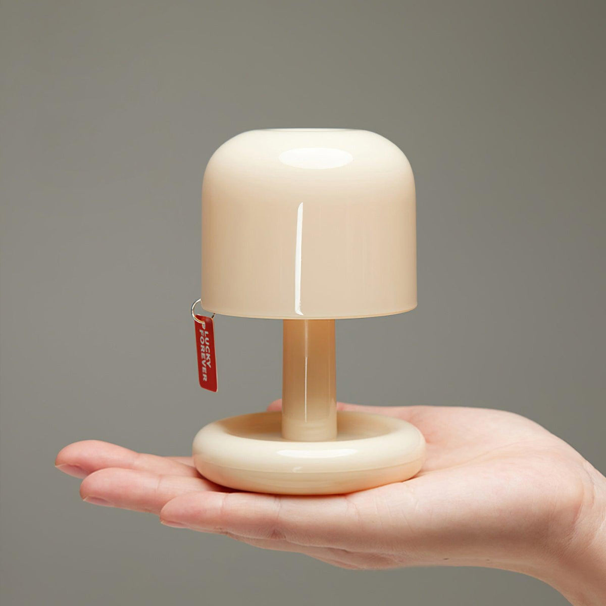 Contemporary Acrylic Rounded Base Table Lamp 1-Light