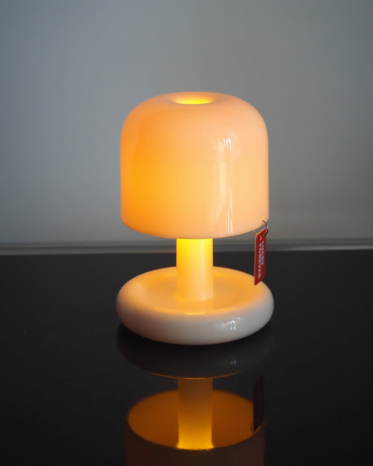 Contemporary Acrylic Rounded Base Table Lamp 1-Light