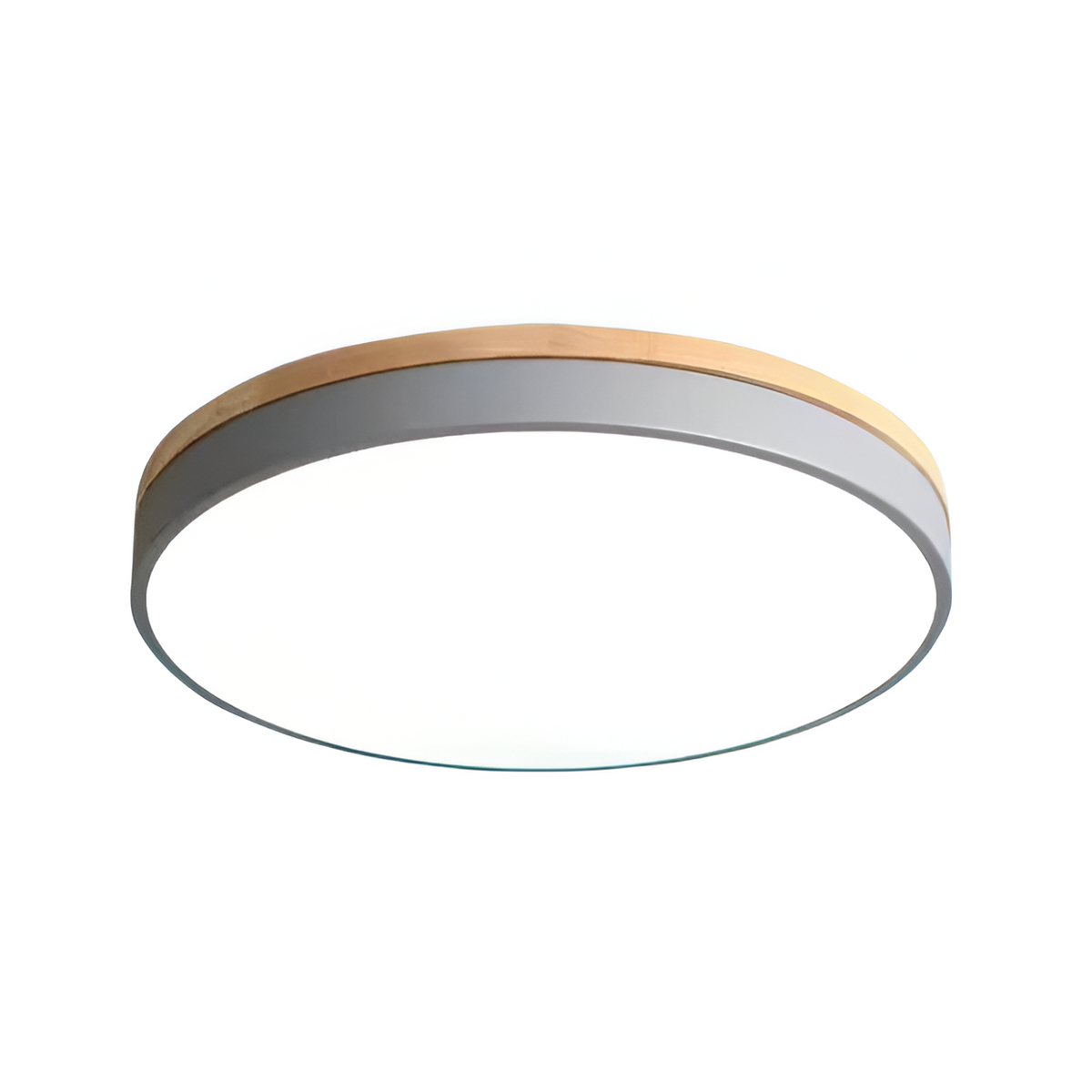 Nordic Iron Acrylic Diffuser Ceiling Light 1-Light