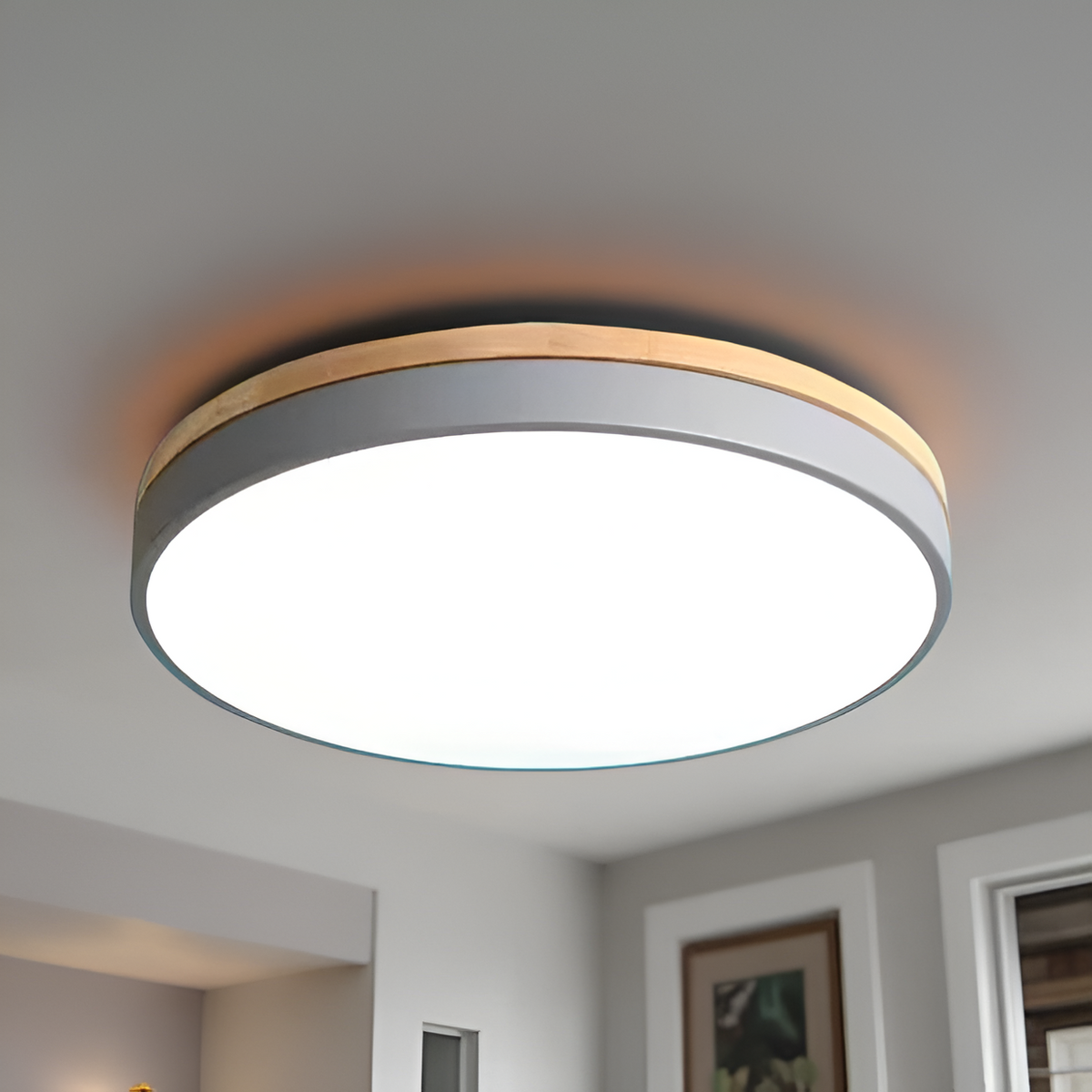 Nordic Iron Acrylic Diffuser Ceiling Light 1-Light