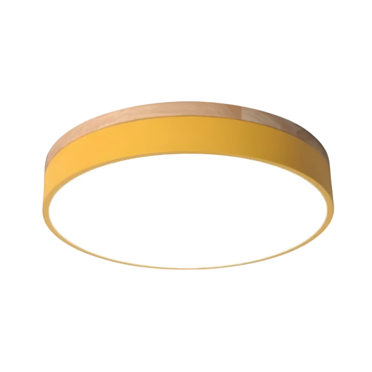 Nordic Iron Acrylic Diffuser Ceiling Light 1-Light