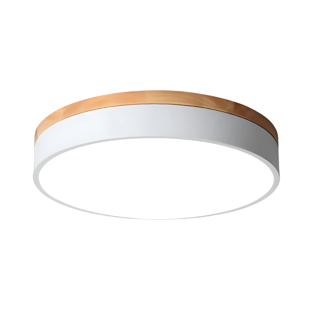 Nordic Iron Acrylic Diffuser Ceiling Light 1-Light