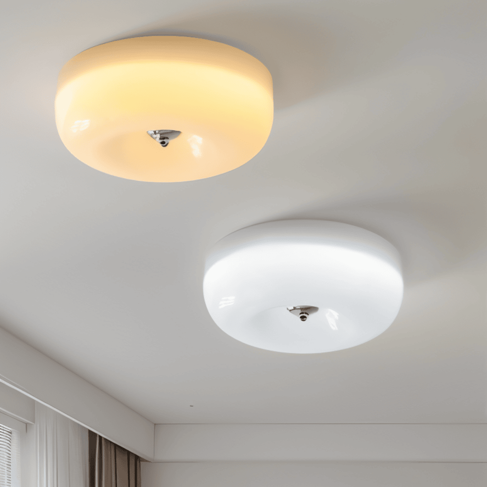 Contemporary Glass Smooth Dome Ceiling Light 1-Light