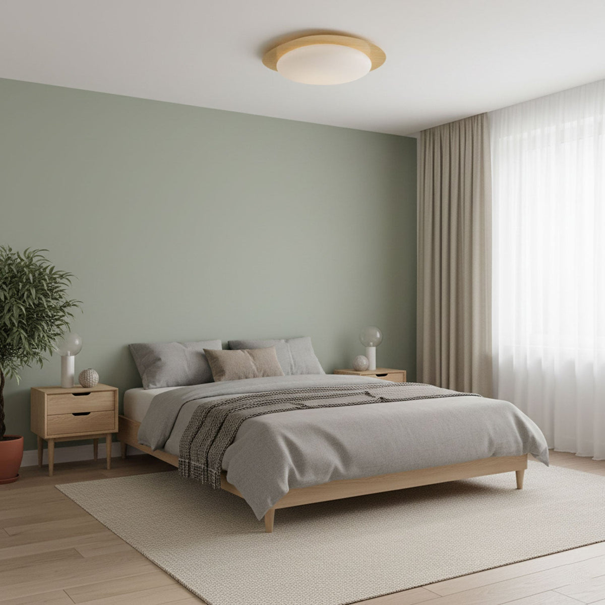 Contemporary Iron Wood-Trim Rim Ceiling Light 1-Light