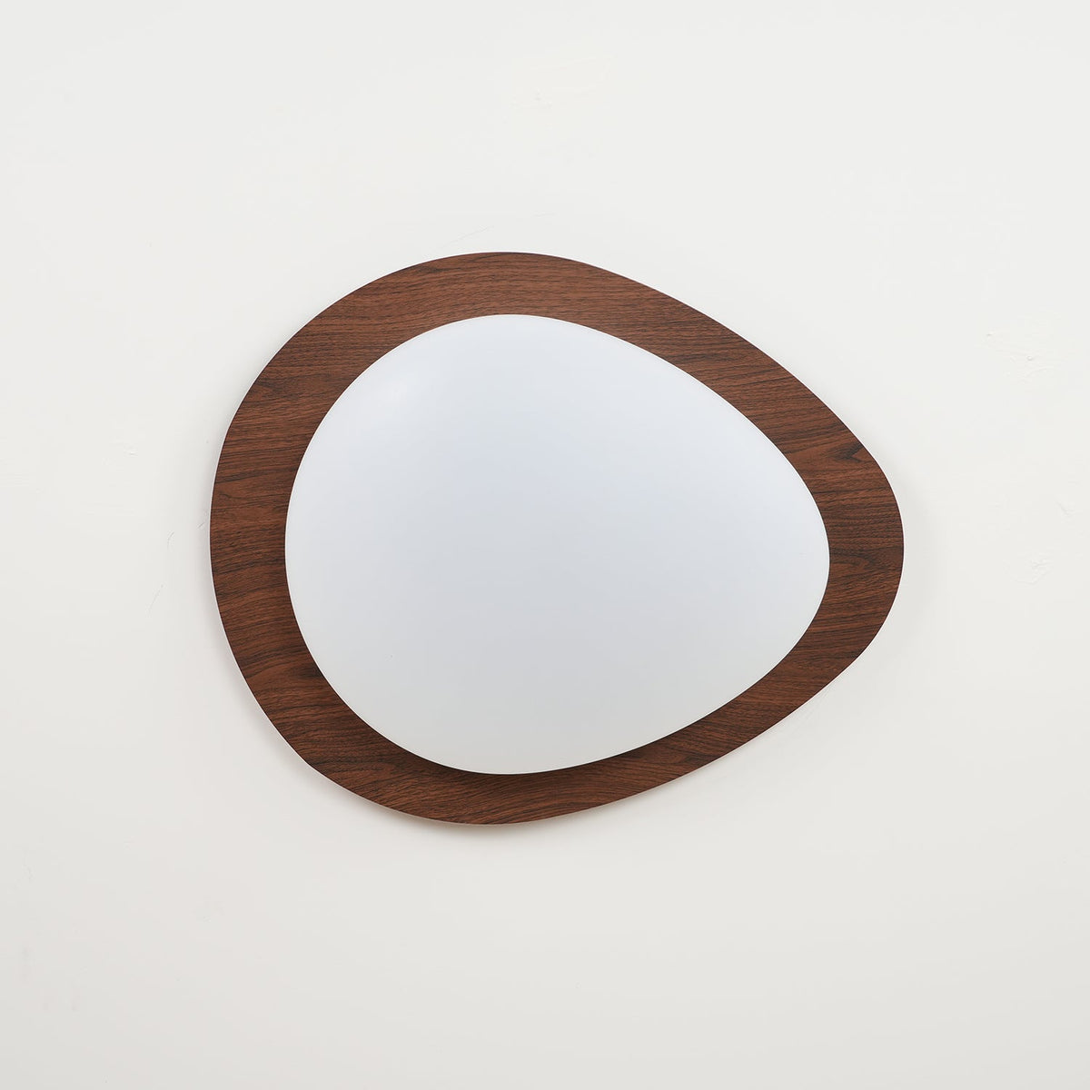 Contemporary Iron Wood-Trim Rim Ceiling Light 1-Light