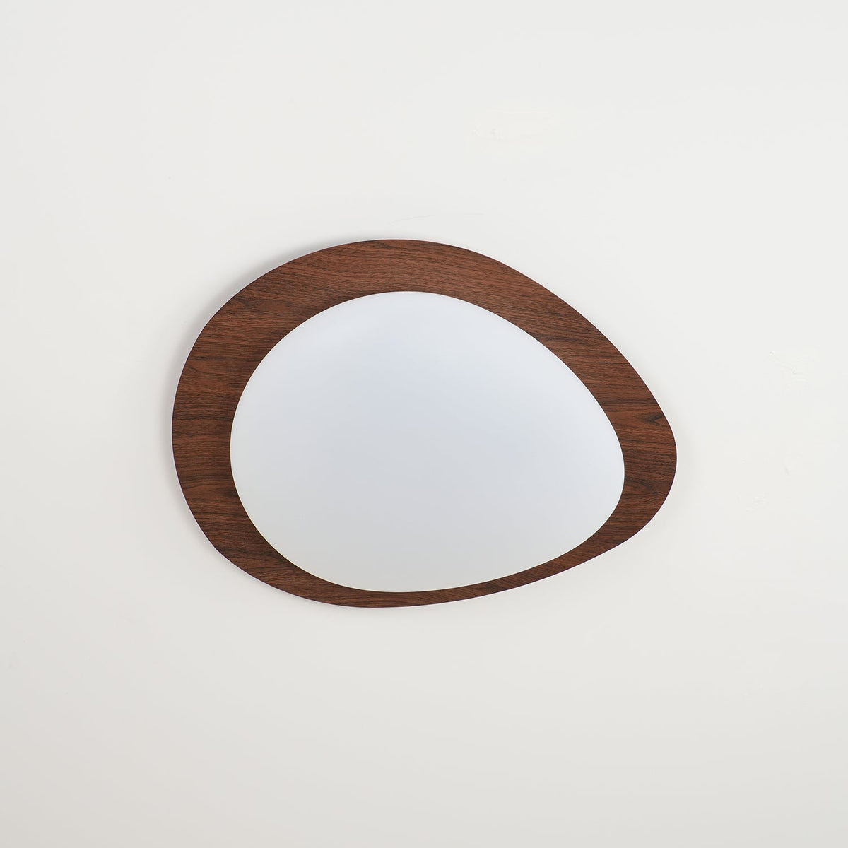 Contemporary Iron Wood-Trim Rim Ceiling Light 1-Light