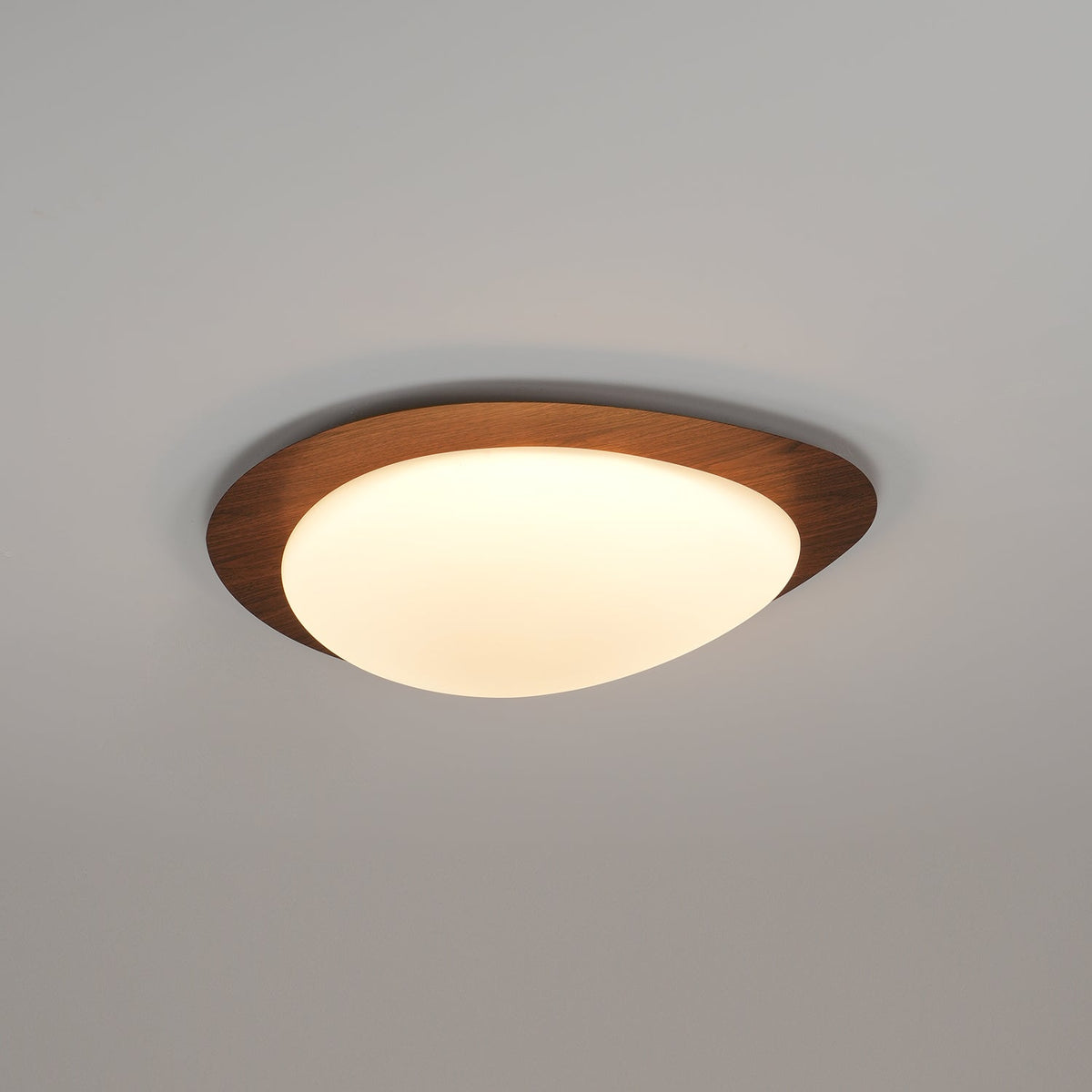 Contemporary Iron Wood-Trim Rim Ceiling Light 1-Light