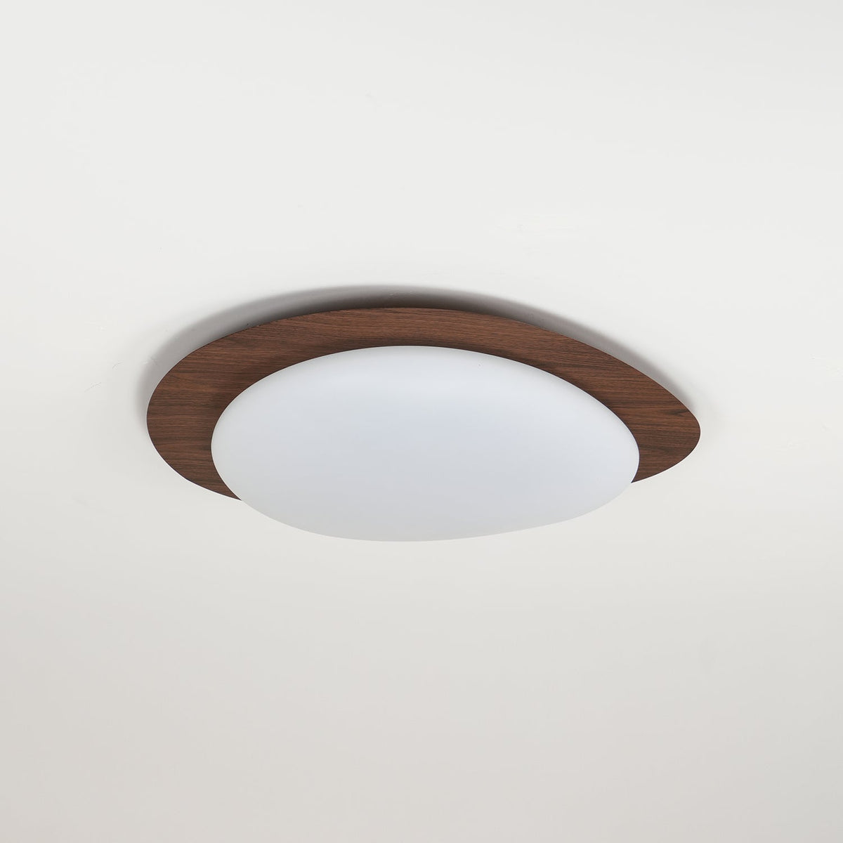 Contemporary Iron Wood-Trim Rim Ceiling Light 1-Light