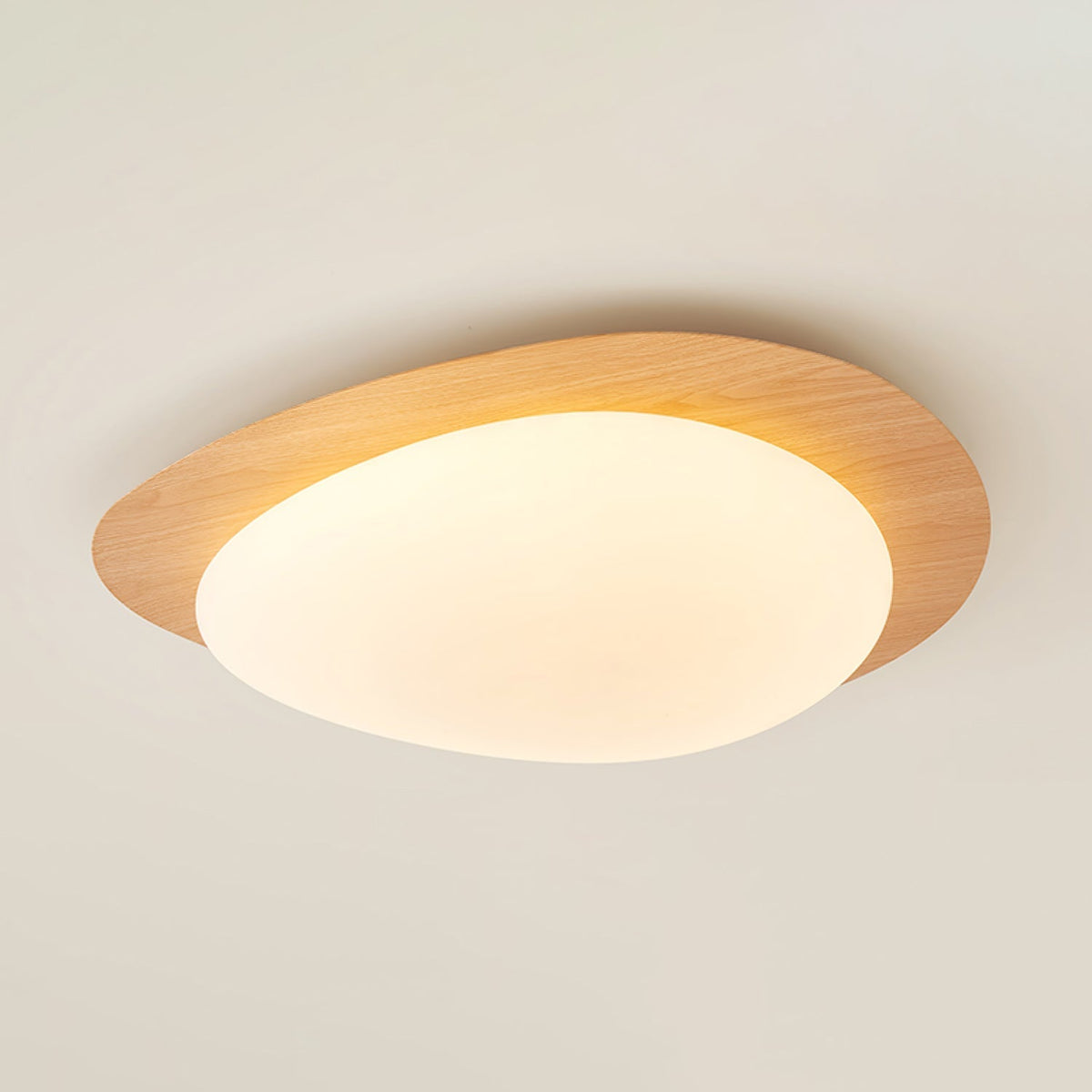 Contemporary Iron Wood-Trim Rim Ceiling Light 1-Light