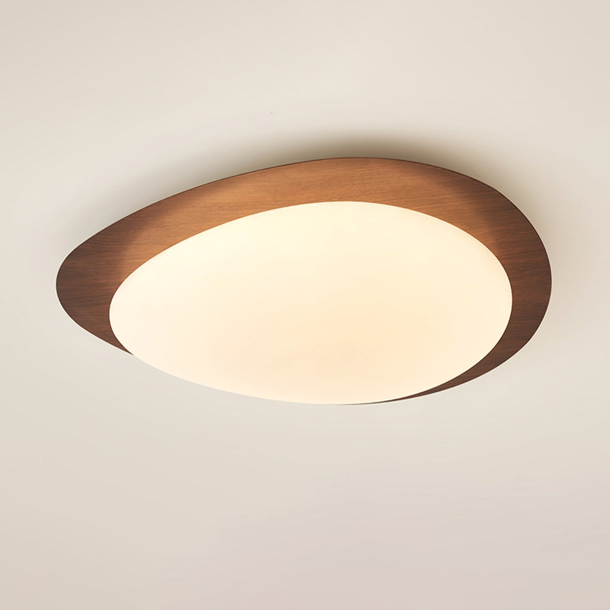 Contemporary Iron Wood-Trim Rim Ceiling Light 1-Light