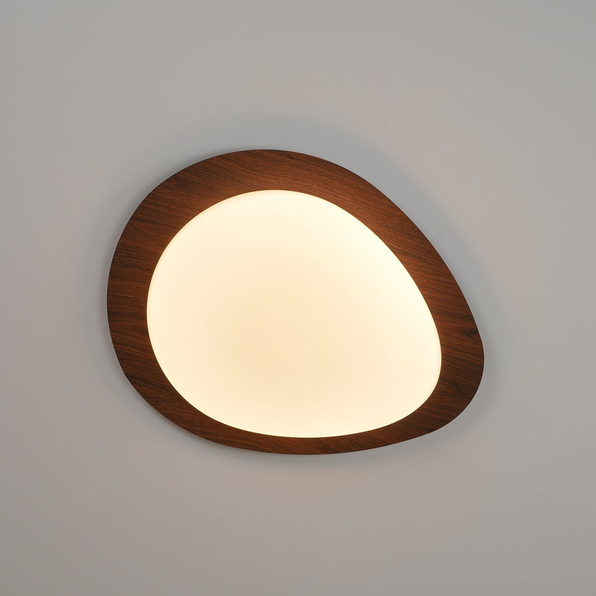 Contemporary Iron Wood-Trim Rim Ceiling Light 1-Light