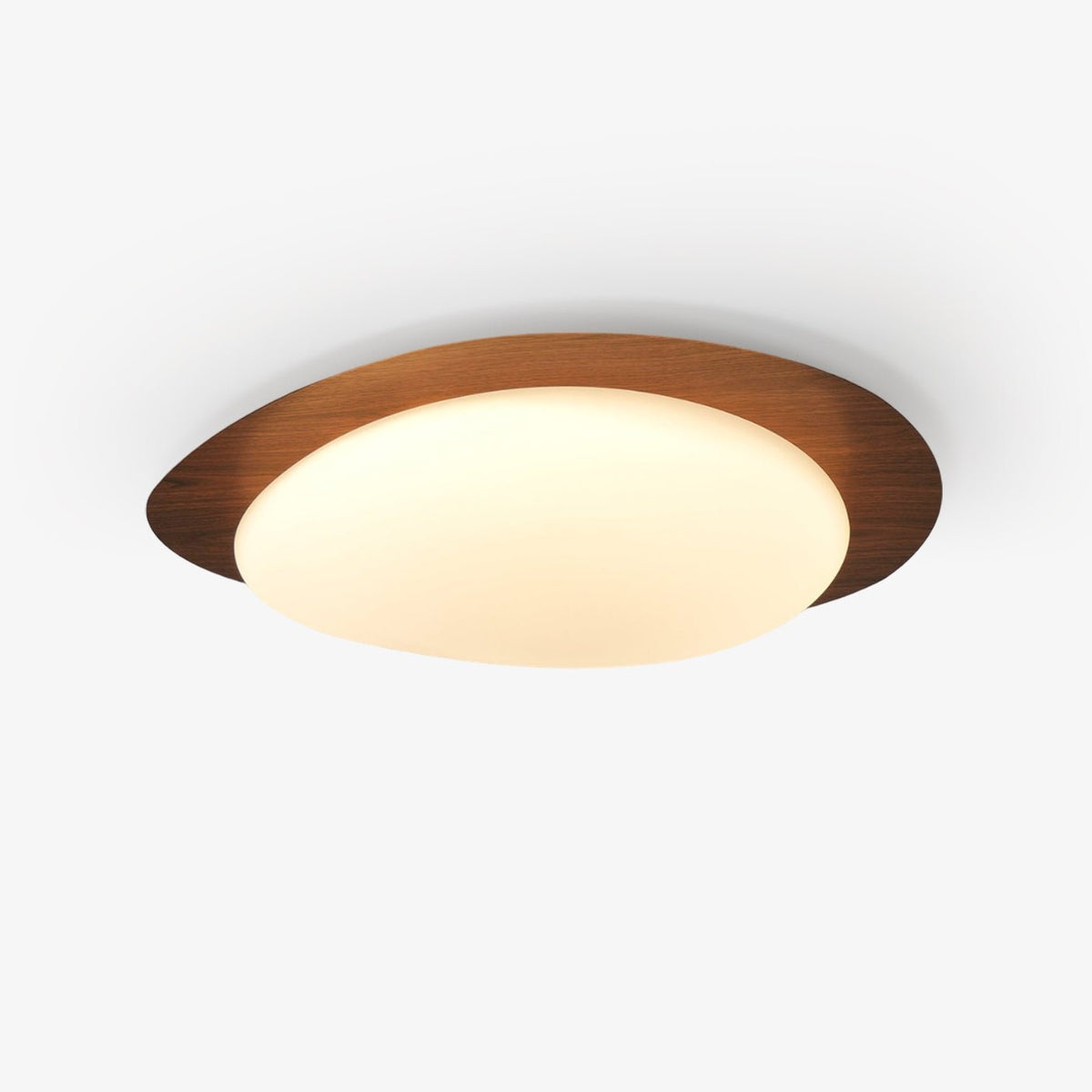 Contemporary Iron Wood-Trim Rim Ceiling Light 1-Light