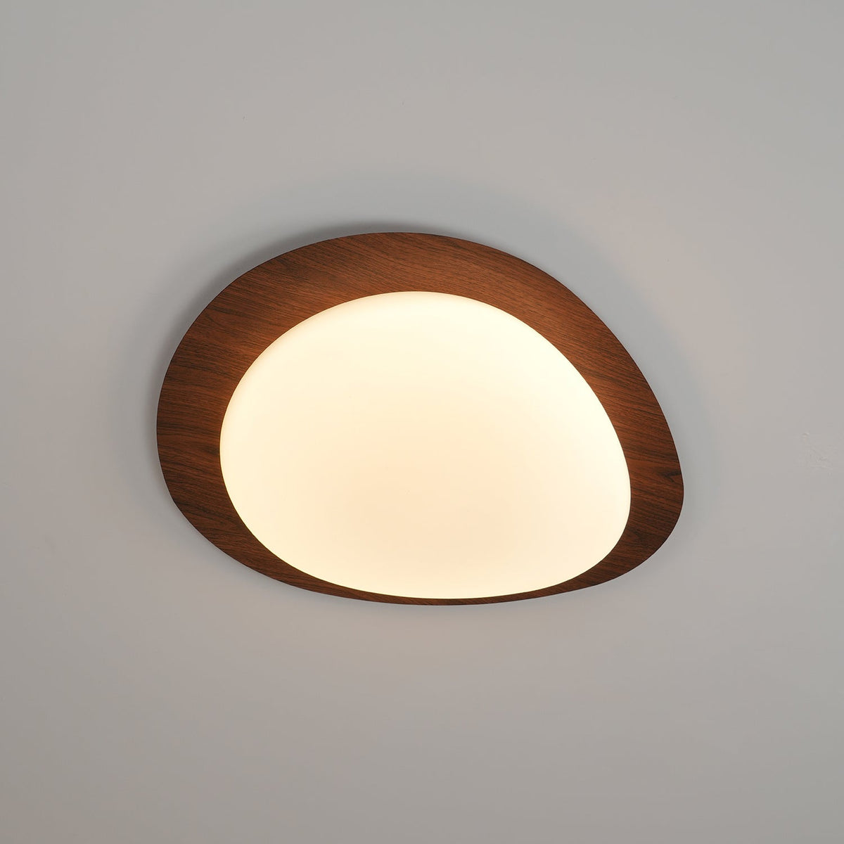 Contemporary Iron Wood-Trim Rim Ceiling Light 1-Light