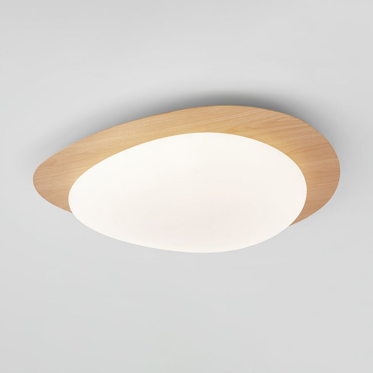 Contemporary Iron Wood-Trim Rim Ceiling Light 1-Light