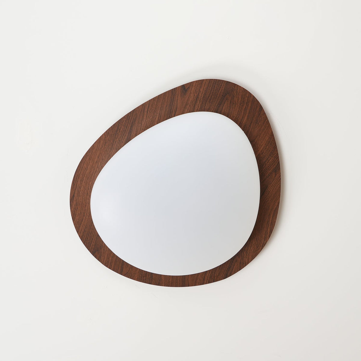 Contemporary Iron Wood-Trim Rim Ceiling Light 1-Light