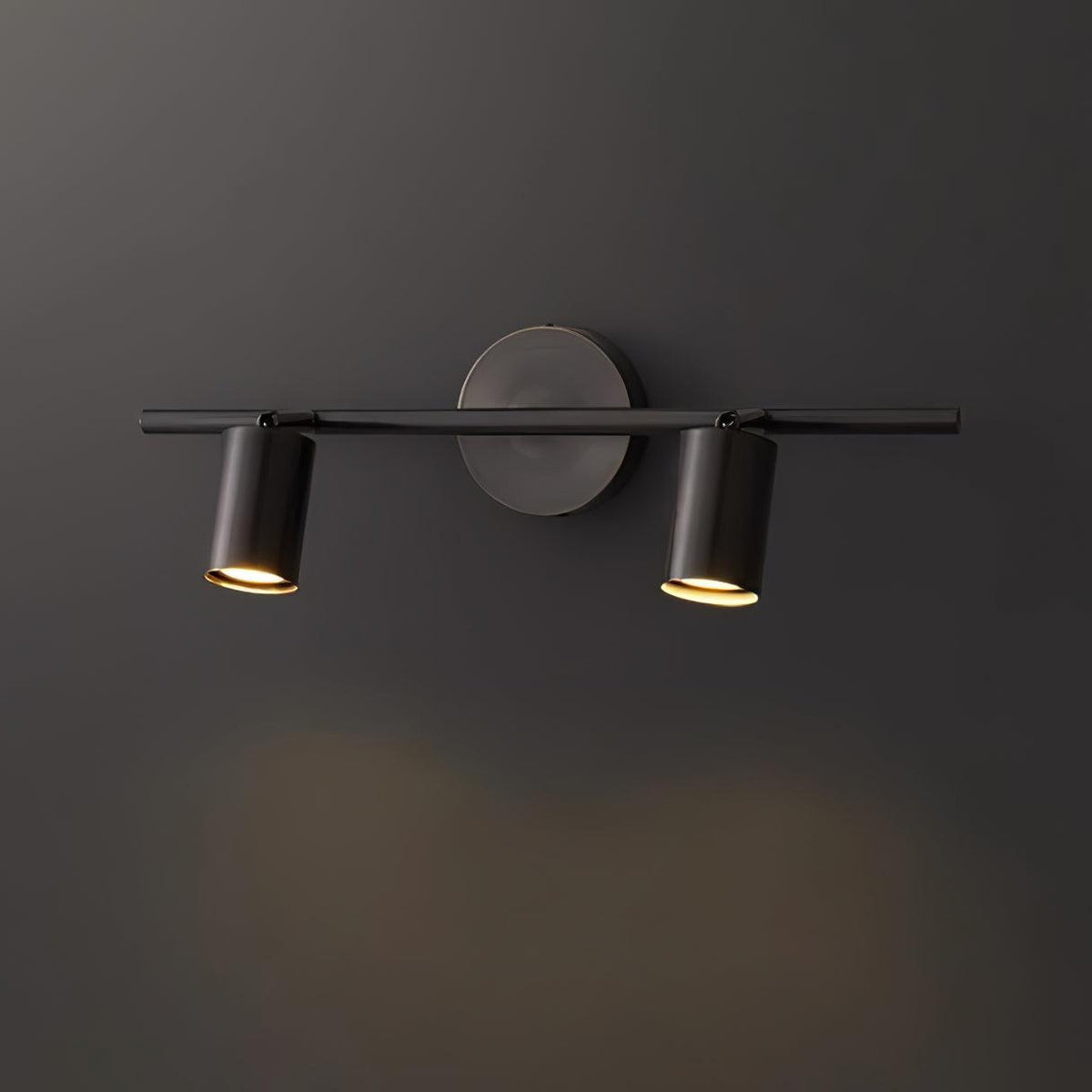 Contemporary Brass Double Cylinder Adjustable Wall Spotlight