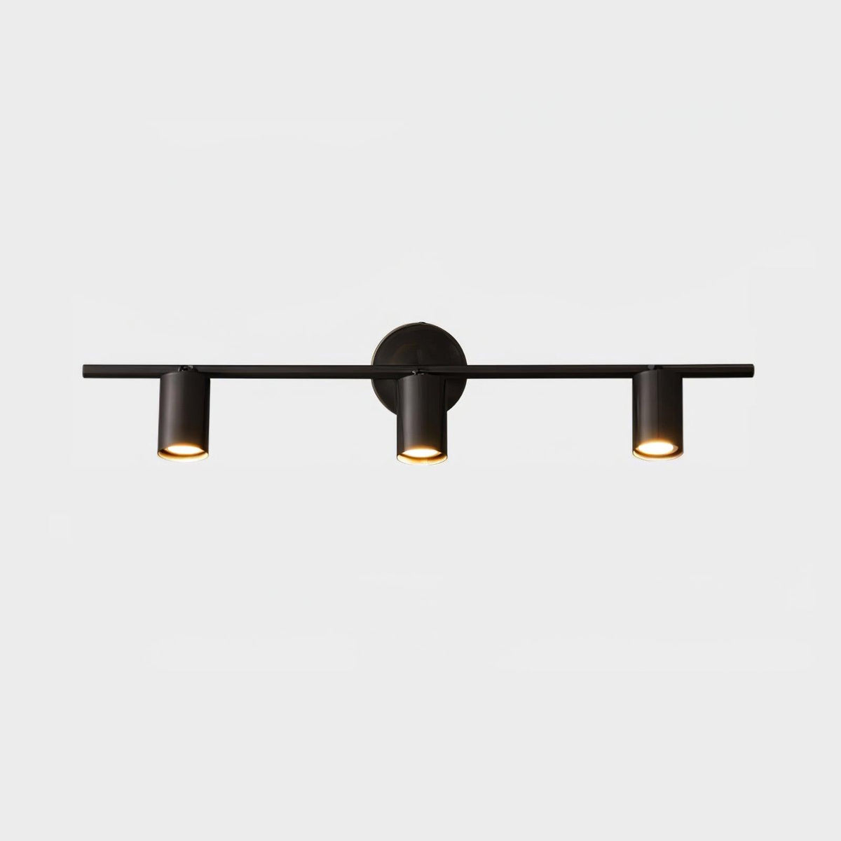 Contemporary Brass Double Cylinder Adjustable Wall Spotlight