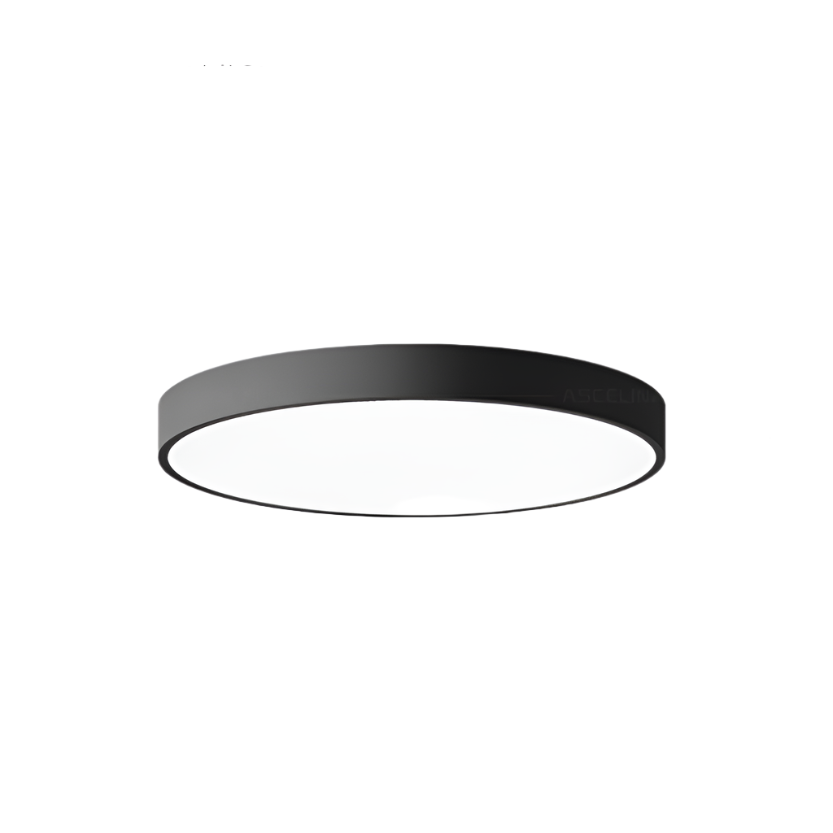 Contemporary Minimalist Round LED Ceiling Light 1-Light