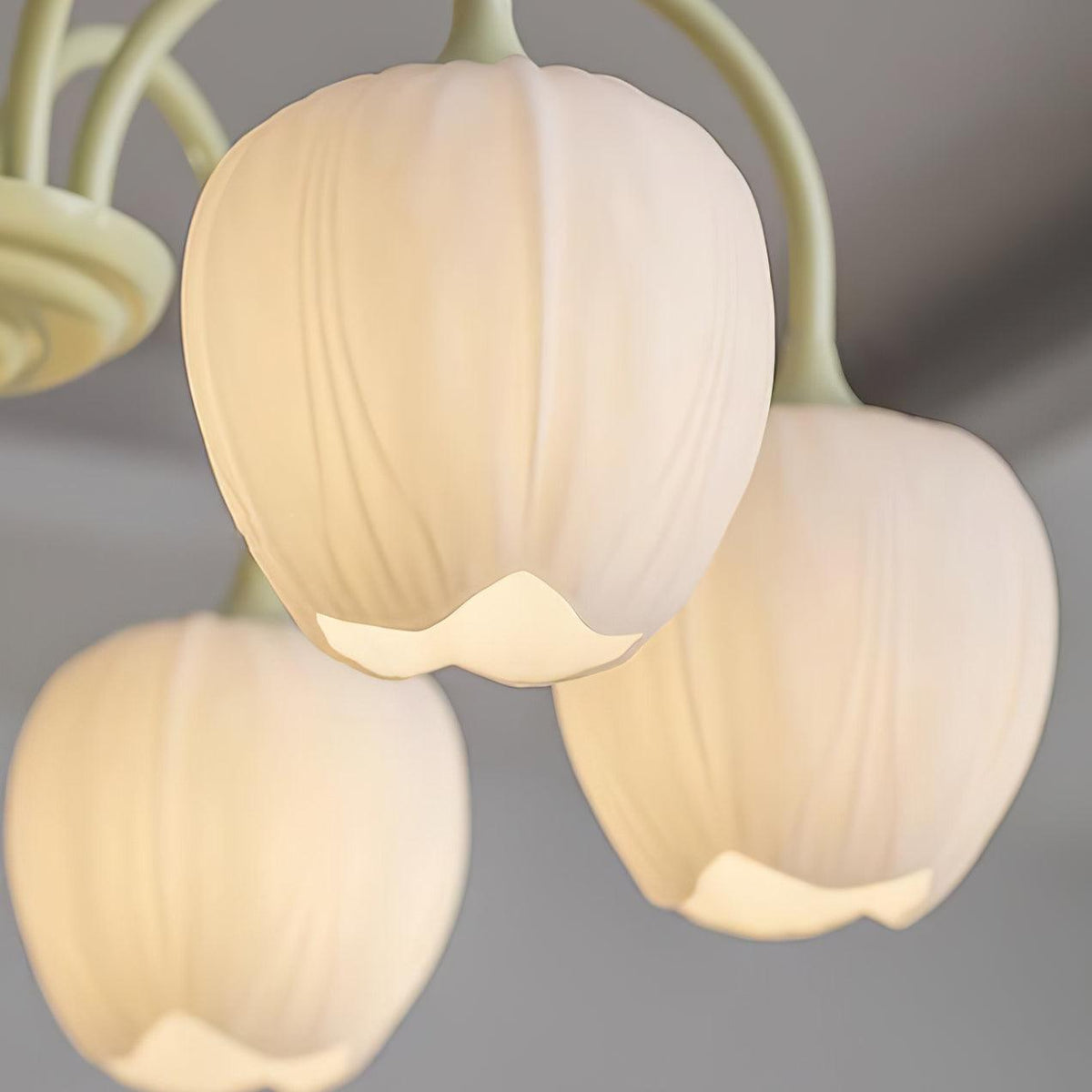 Contemporary Iron Curved Arms Chandelier 5-Light
