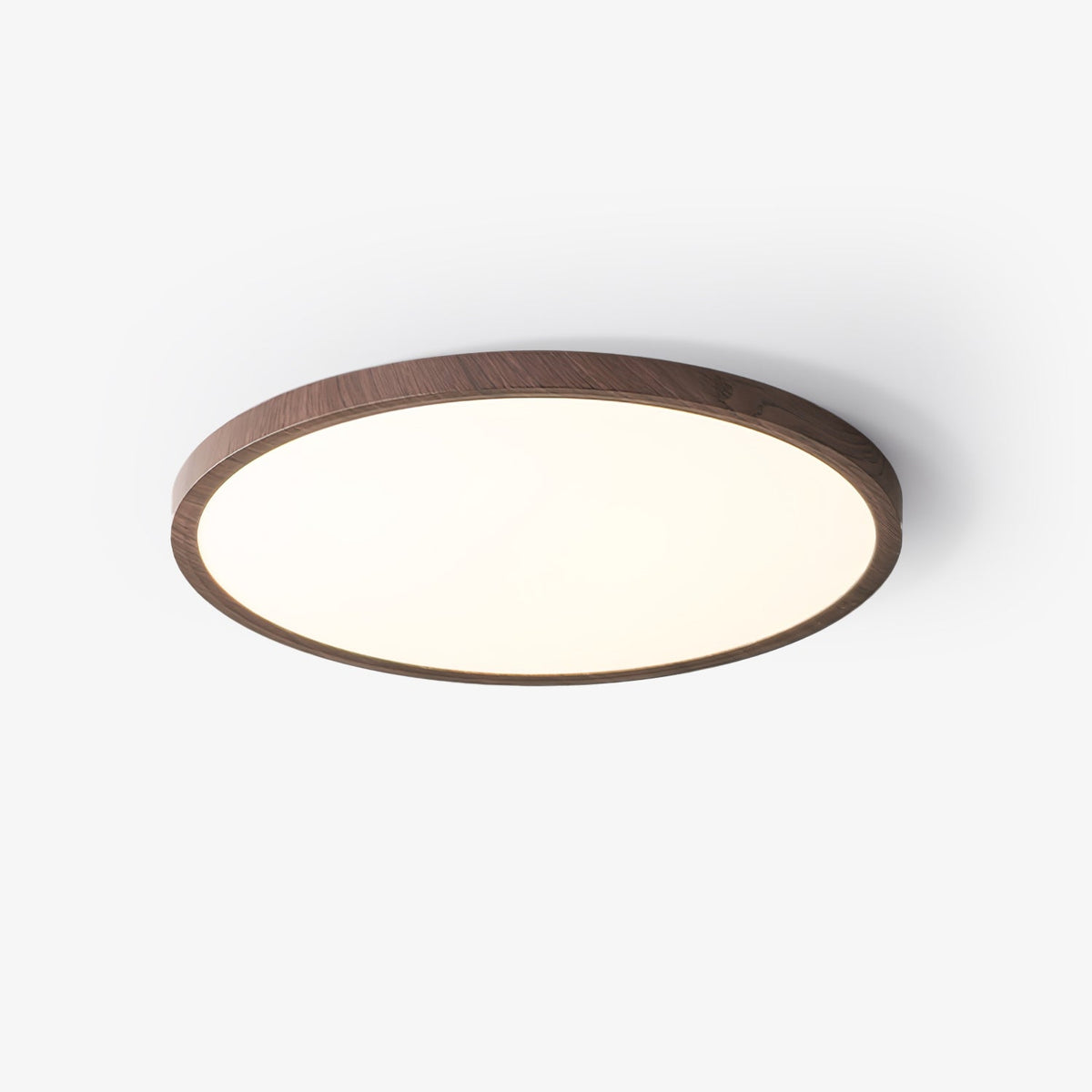 Modern Acrylic Dimmable Ceiling Light 1-Light