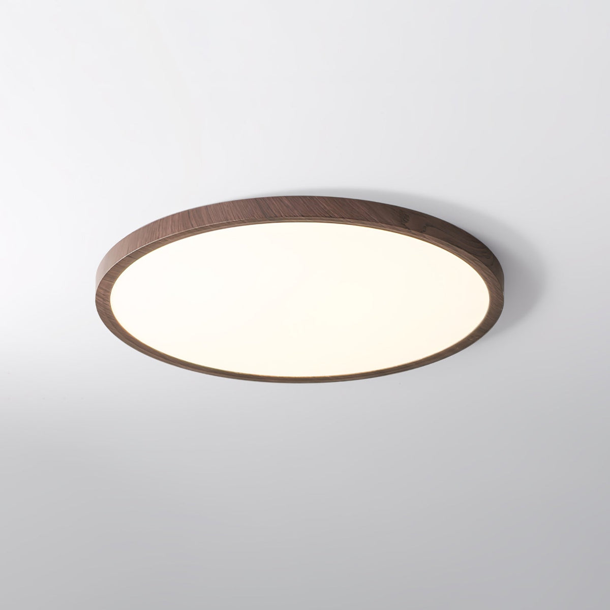 Modern Acrylic Dimmable Ceiling Light 1-Light
