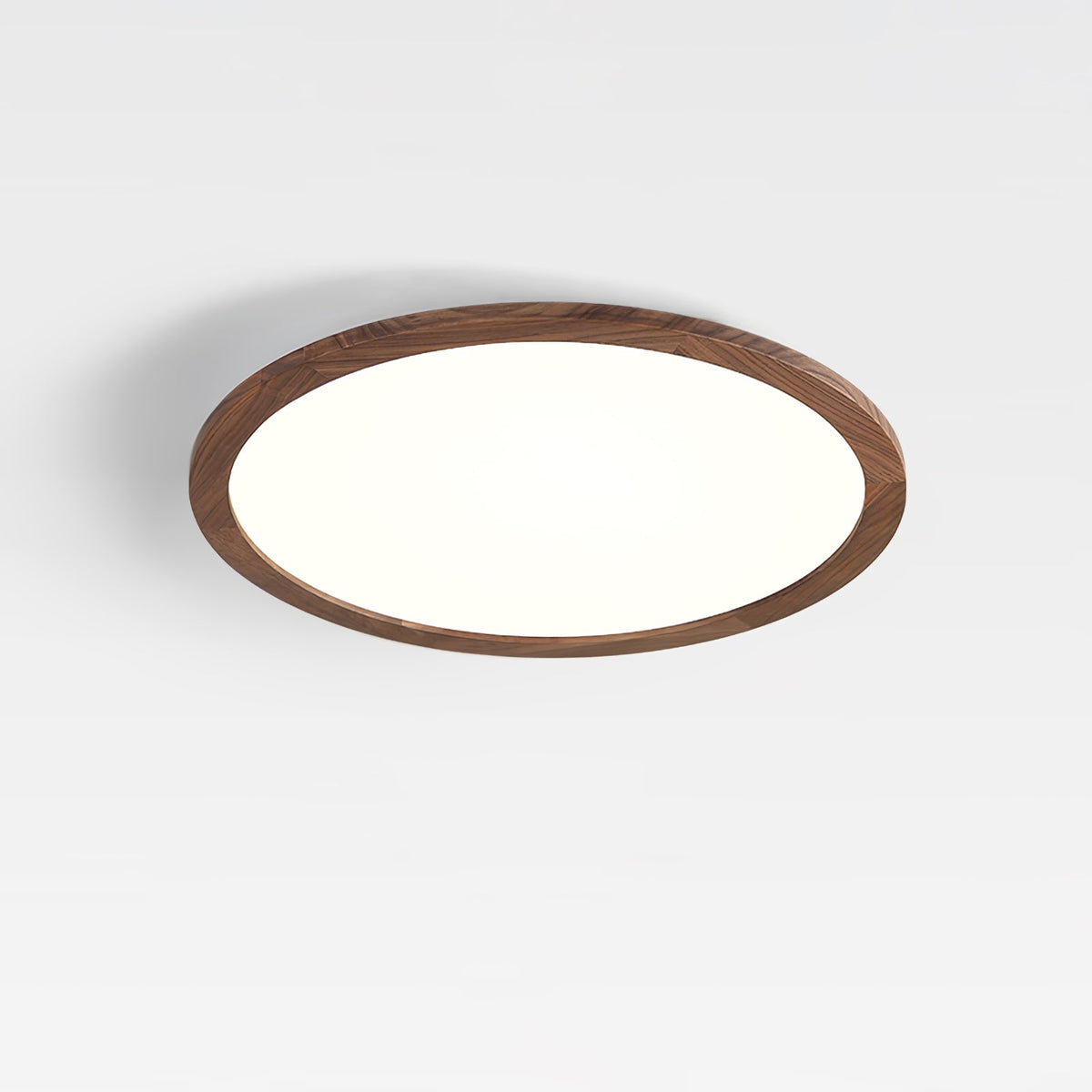 Modern Acrylic Dimmable Ceiling Light 1-Light
