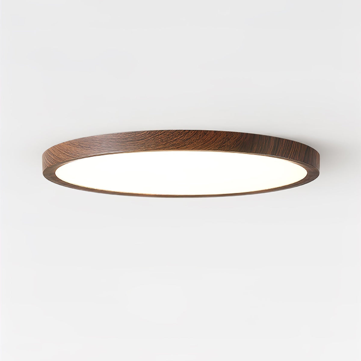 Modern Acrylic Dimmable Ceiling Light 1-Light
