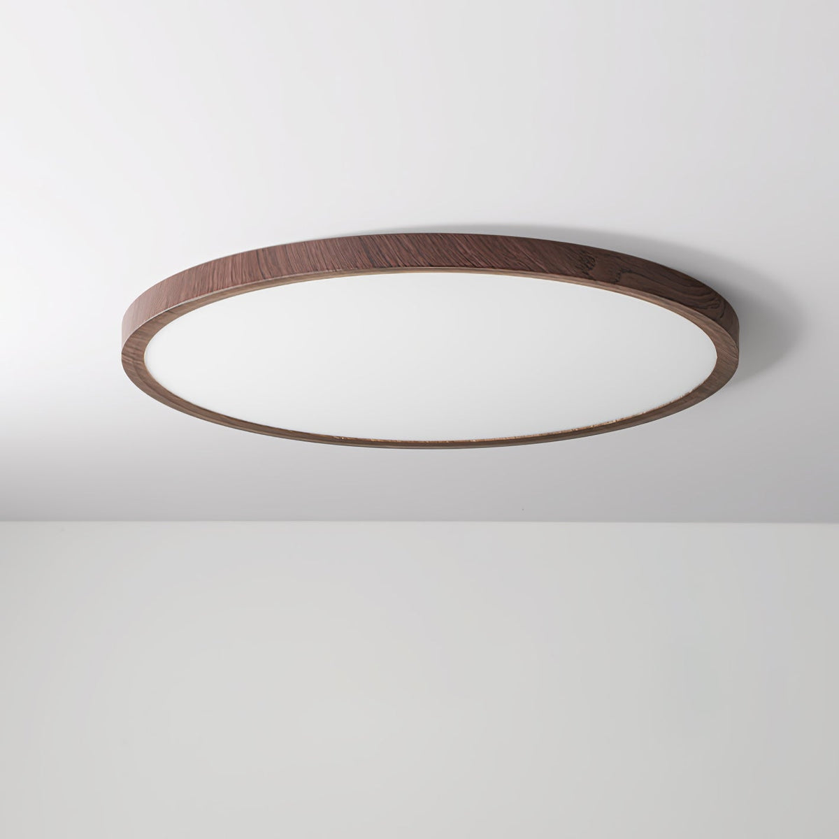Modern Acrylic Dimmable Ceiling Light 1-Light
