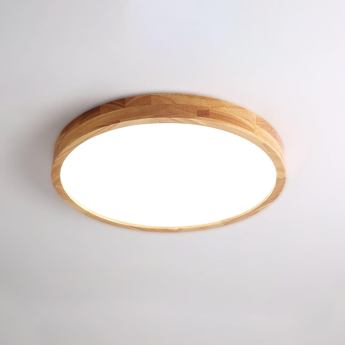 Scandinavian Iron Remote Dimming Ceiling Light 1-Light