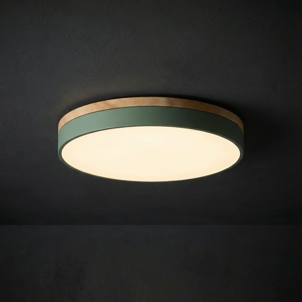 Contemporary Wood Trim Ceiling Light 1-Light