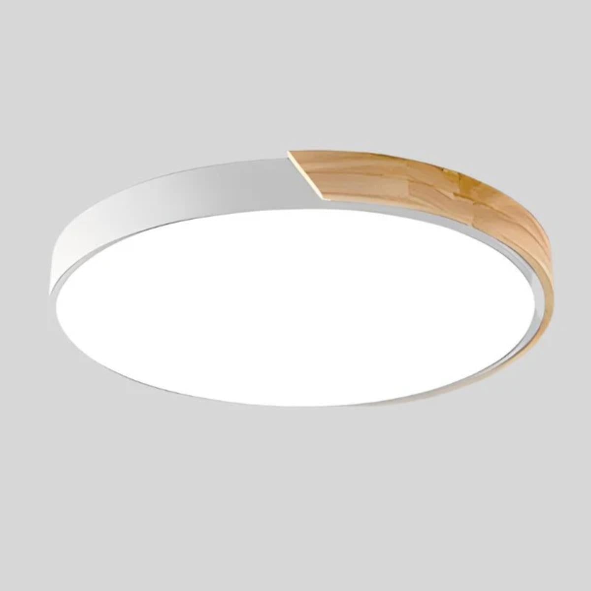 Ceiling Lighting LED Flush Mount Round Fixture Light
